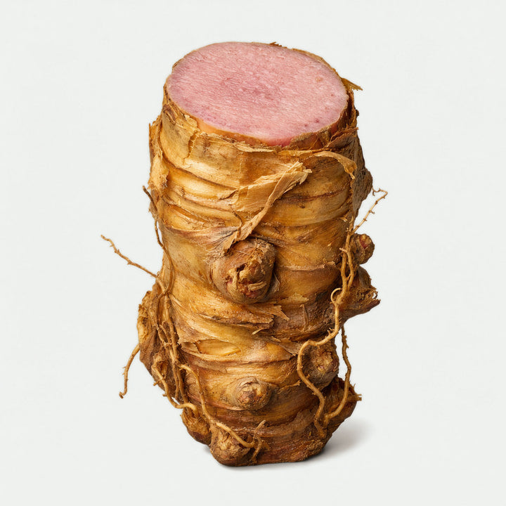 Rhodiola rosea