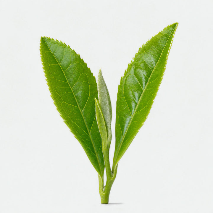 L-teanina